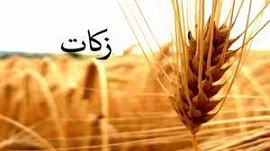 جمعآوری ۶۳ میلیارد تومان زکات مستحبی و واجب در استان البرز