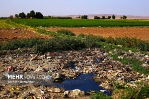 تصویر سیاه‌جوی بلای سلامتی محمدشهری‌ها
