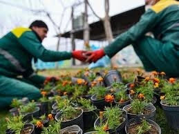 زیبایی گلهای فصلی در معابر و بلوارهای منطقه ۶