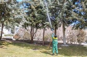 عملیات سمپاشی زمستانه درختان در کرج آغاز شد