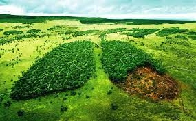 افزایش آگاهی اثرات زیست محیطی باعث تغییراتی زنجیره تولید می شود