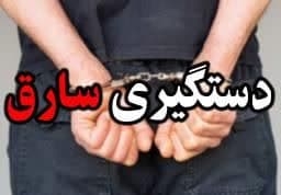 دستگيري سارق با 33 فقره سرقت در فرديس