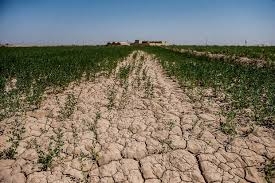 خشکسالی؛ بحرانی فراتر از بحرانهای زیستمحیطی