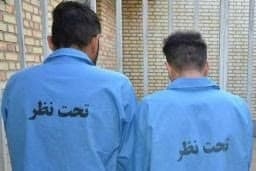 کشف 30 فقره سرقت در اشتهارد