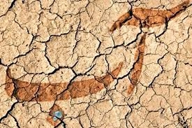تصویر تابستان بدون آب؛ زنگ خطر سبک زندگی نادرست
