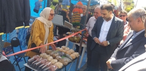 تصویر نمایشگاه پاییزه شهرستان طالقان افتتاح شد