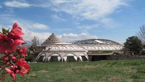 تصویر گنجی که در نزدیکی پایتخت خاک می‌خورد