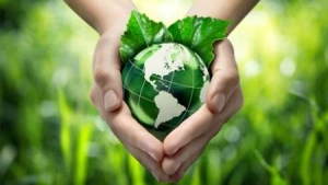 تصویر اقتصاد سبز ضرورتی برای توسعه پایدار ایران