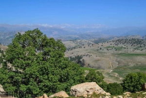 تصویر واکاوی یک مصوبه شورای عالی اداری توسط دغدغه مندان منابع طبیعی کشور
