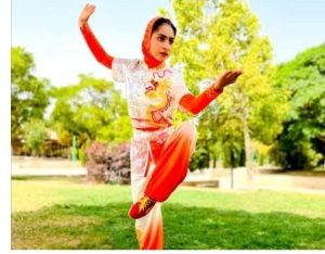 تصویر چرخش ووشوی البرز به سمت آموزش همگانی