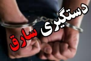 ثبت 25 فقره سرقت داخل خودرو در کرج
