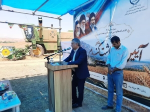 تصویر آیین برداشت گندم در شهرستان طالقان برگزار شد