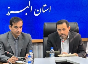 تصویر تأکید انصاری بر تقویت تولید، نظارت و پاسخگویی