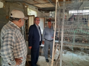 تصویر حضور فرماندار طالقان و رئیس اداره جهاد کشاورزی در یک واحد مرغداری