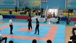 تصویر تهران قهرمان مسابقات چهارجانبه کونگ‌فو در کرج شد