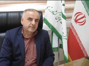 تصویر جهش بیش از ۳۰ درصدی جذب کودهای ازته در استان البرز