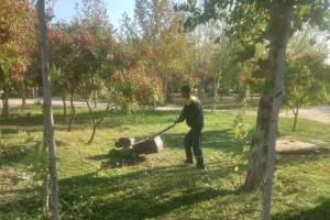 تصویر بهسازی گسترده بوستان های منطقه ۵ کرج؛ ازرنگ آمیزی تجهیزات تا کاشت گل های فصلی