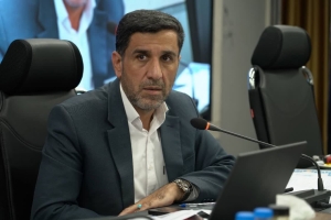 تصویر ضرورت تامین گندم کارخانه‌های ماکارونی با پشتیبانی دولت