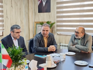 تصویر تأمین موتور برق برای تجهیز نانوایی‌های شهرستان چهارباغ