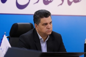 تصویر احزاب و سمن‌ها باید بازوی مشورتی در شهرستان باشند